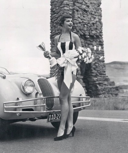 Miss-Dangerous curves.jpg