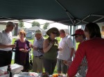 fly_in_picknick_20120811_17.JPG